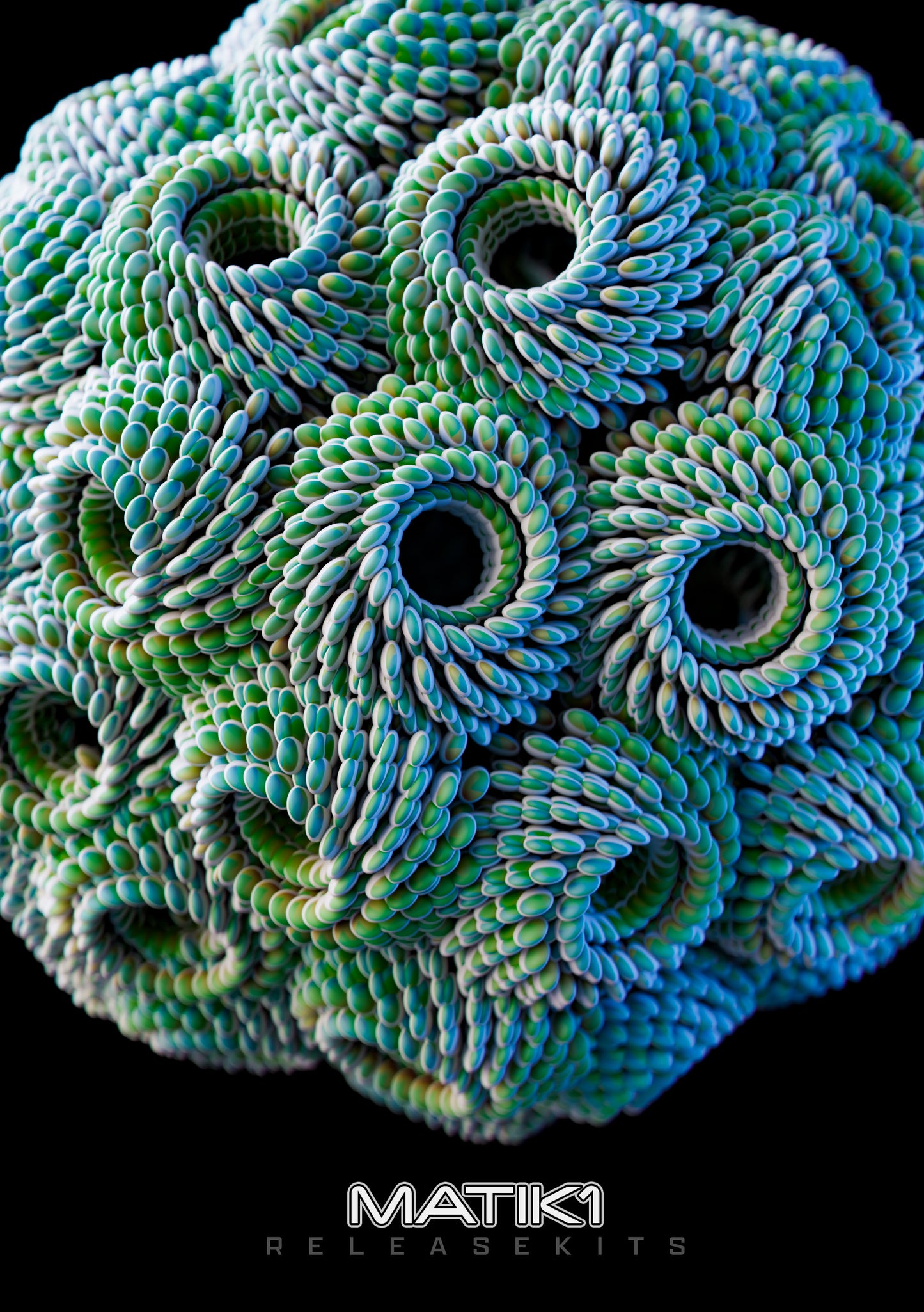 Succulenti