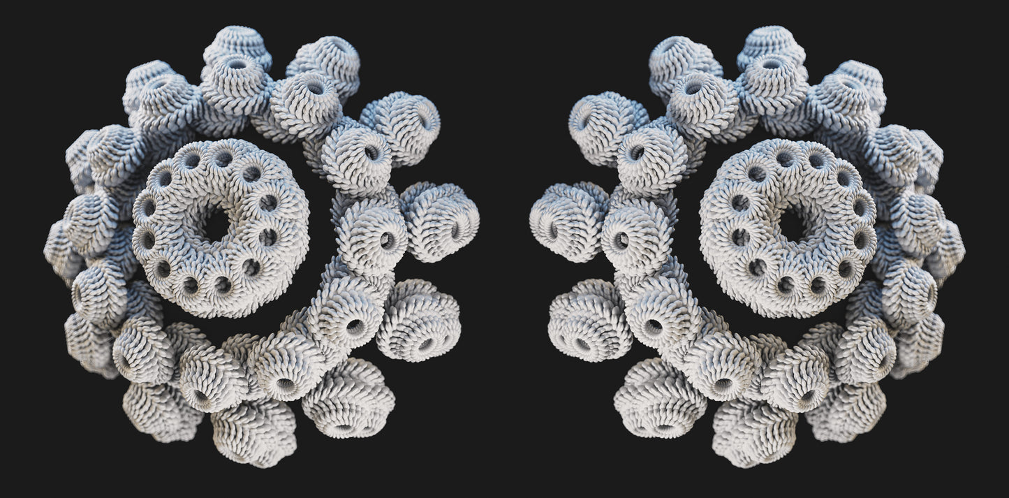 Coral Study