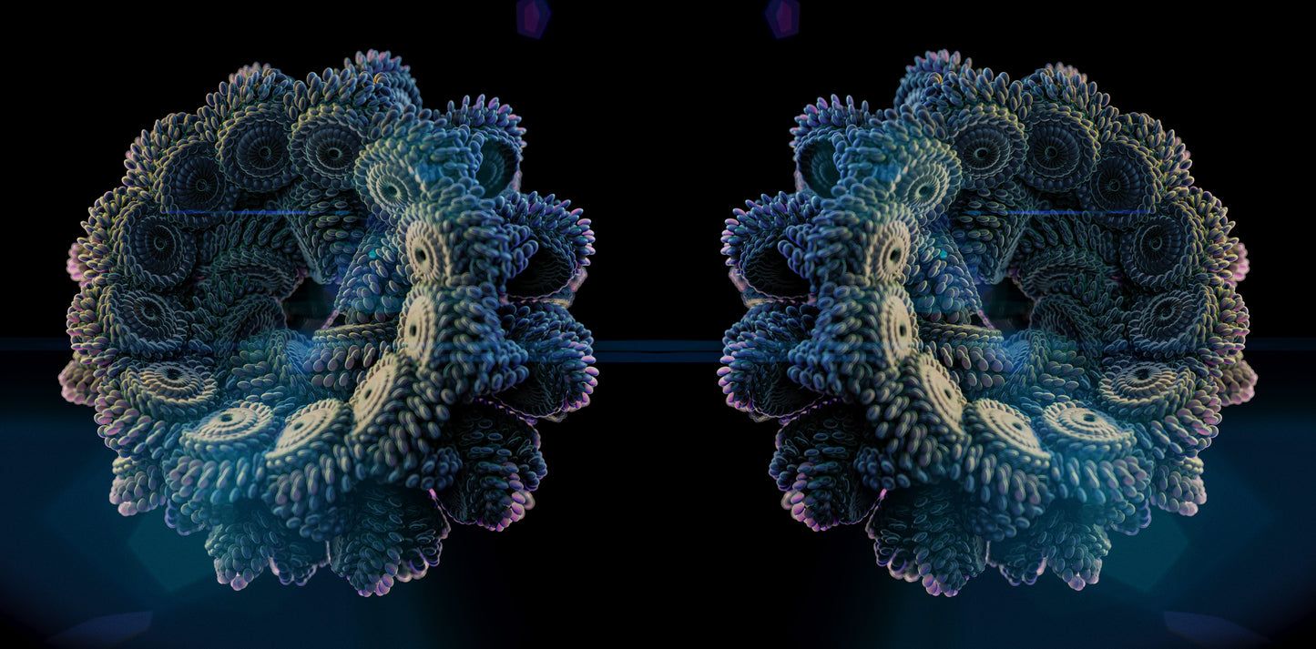 Asteroid