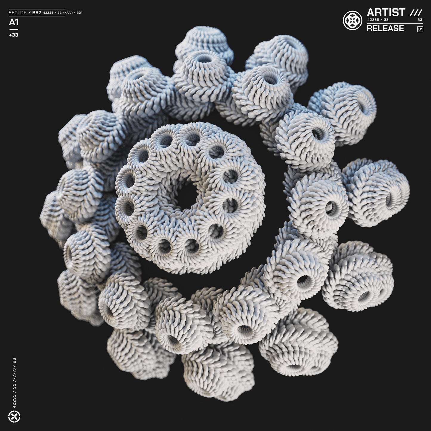 Coral Study