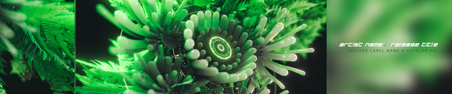 Symbiosis