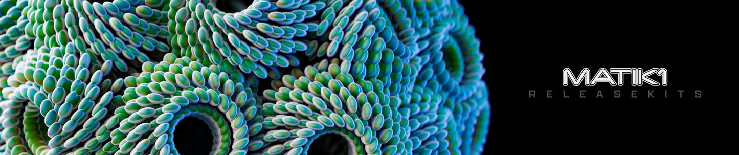 Succulenti