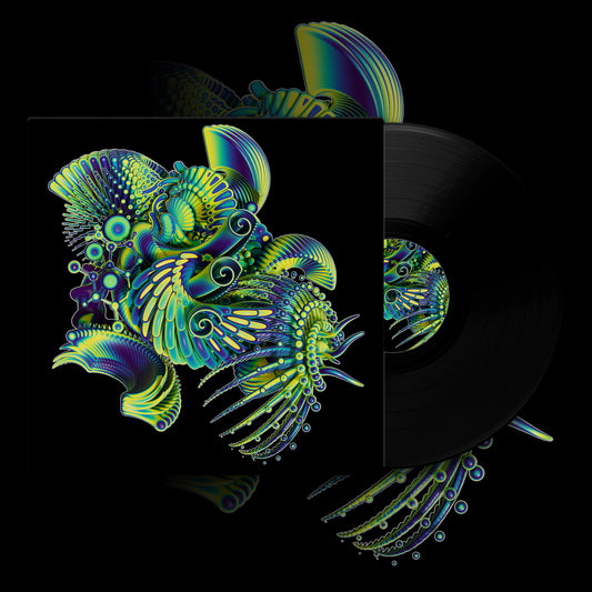 Polycera