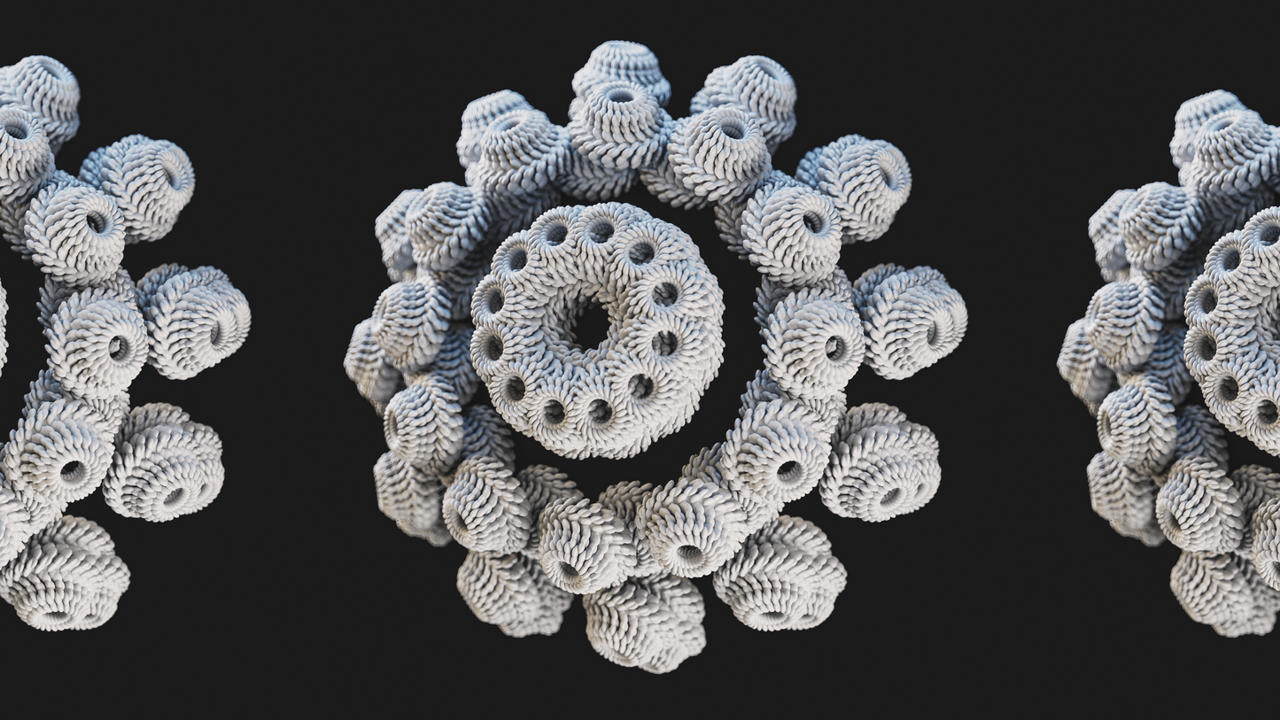 Coral Study