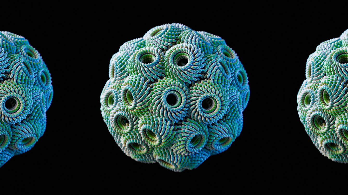 Succulenti