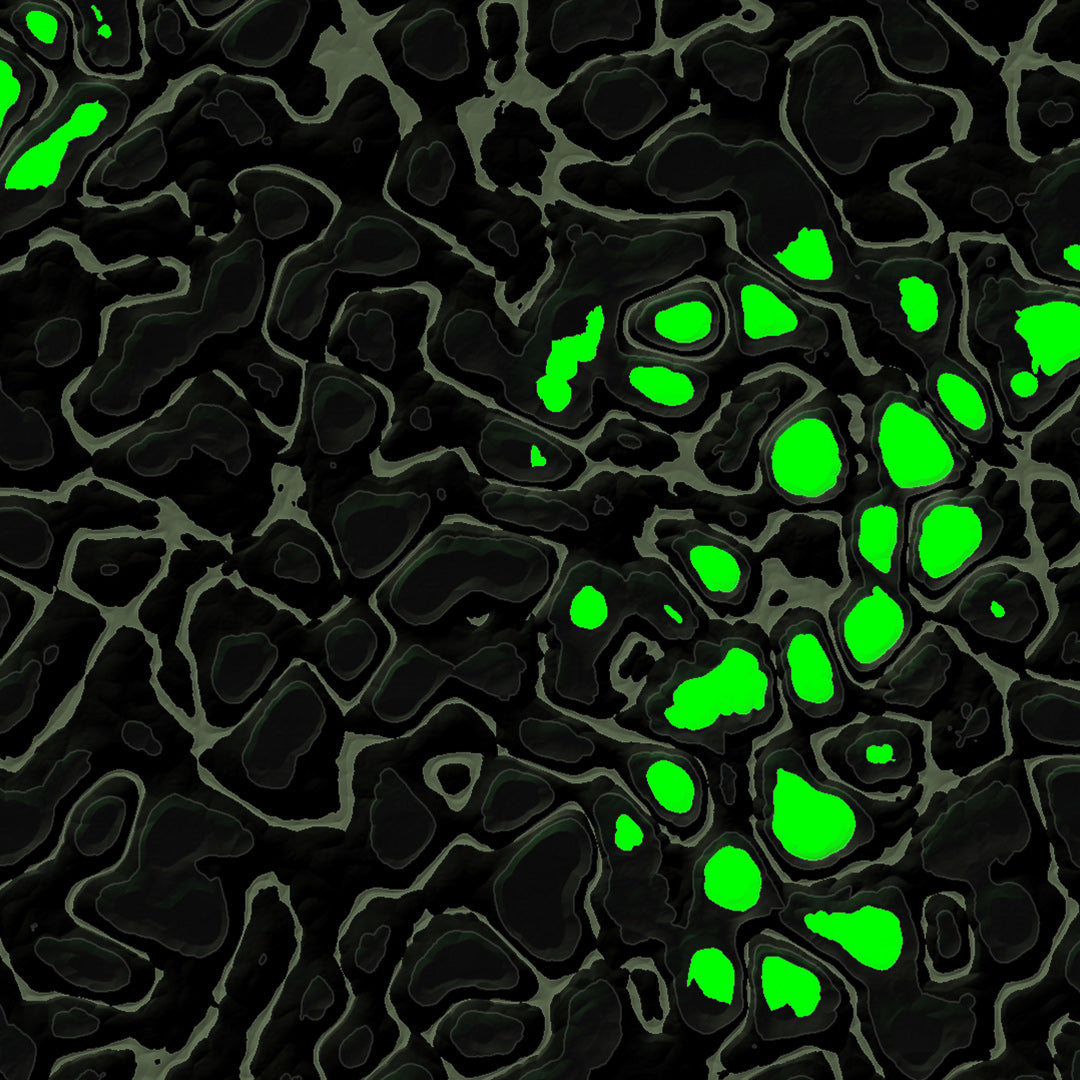 Topologik Pro (Source)