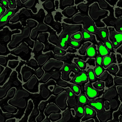 Topologik Pro (Source)