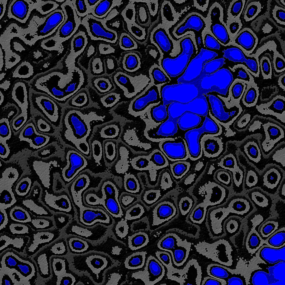 Topologik Pro (Source)