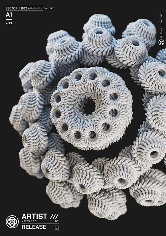 Coral Study