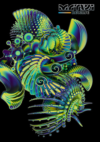 Polycera