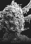 Microbiome