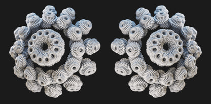 Coral Study
