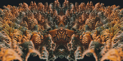 Tigers Eye