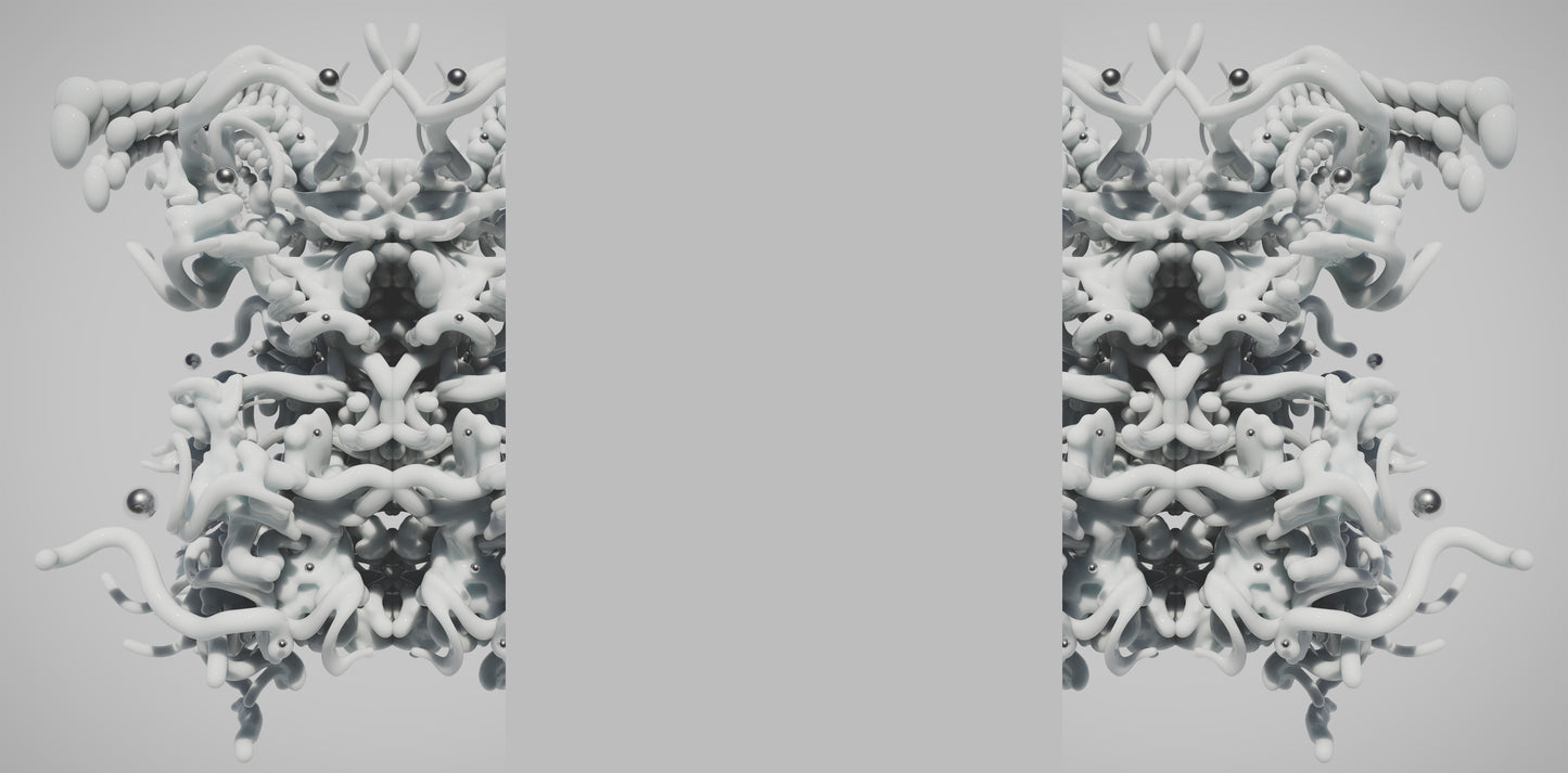 Duomorphic