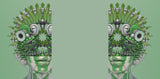 Ecosystem