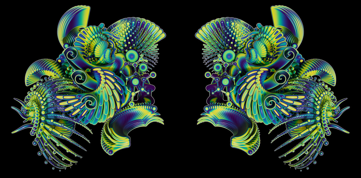 Polycera