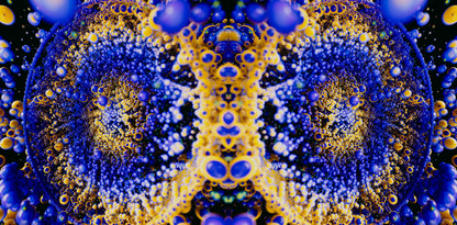 Petri Dish
