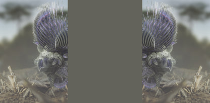 Synerg_1