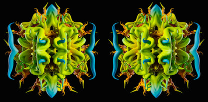 Portal