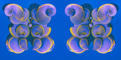 Cowrie