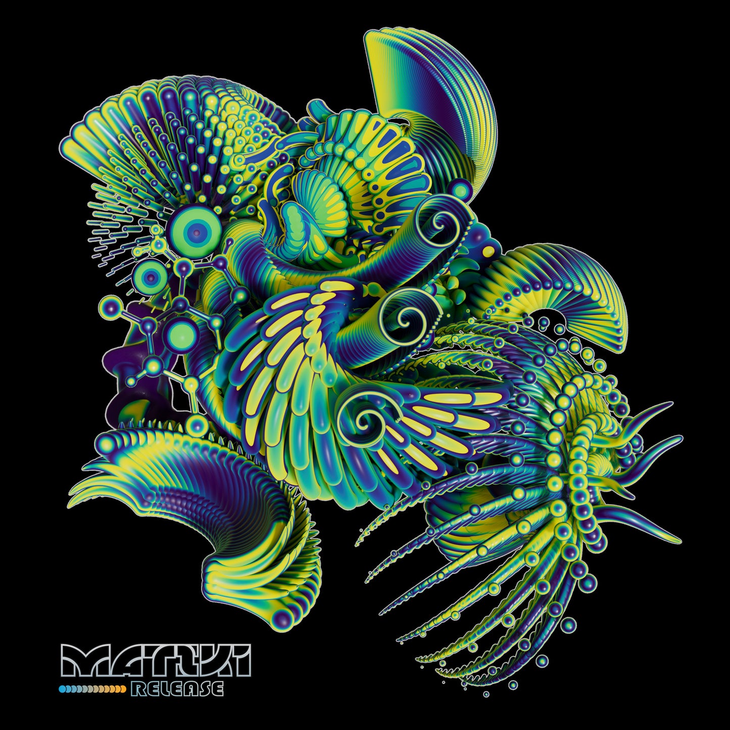 Polycera