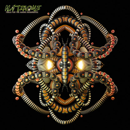 Scarab