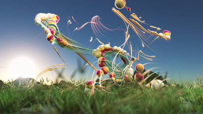 Elarion9 (Loops + Modular)