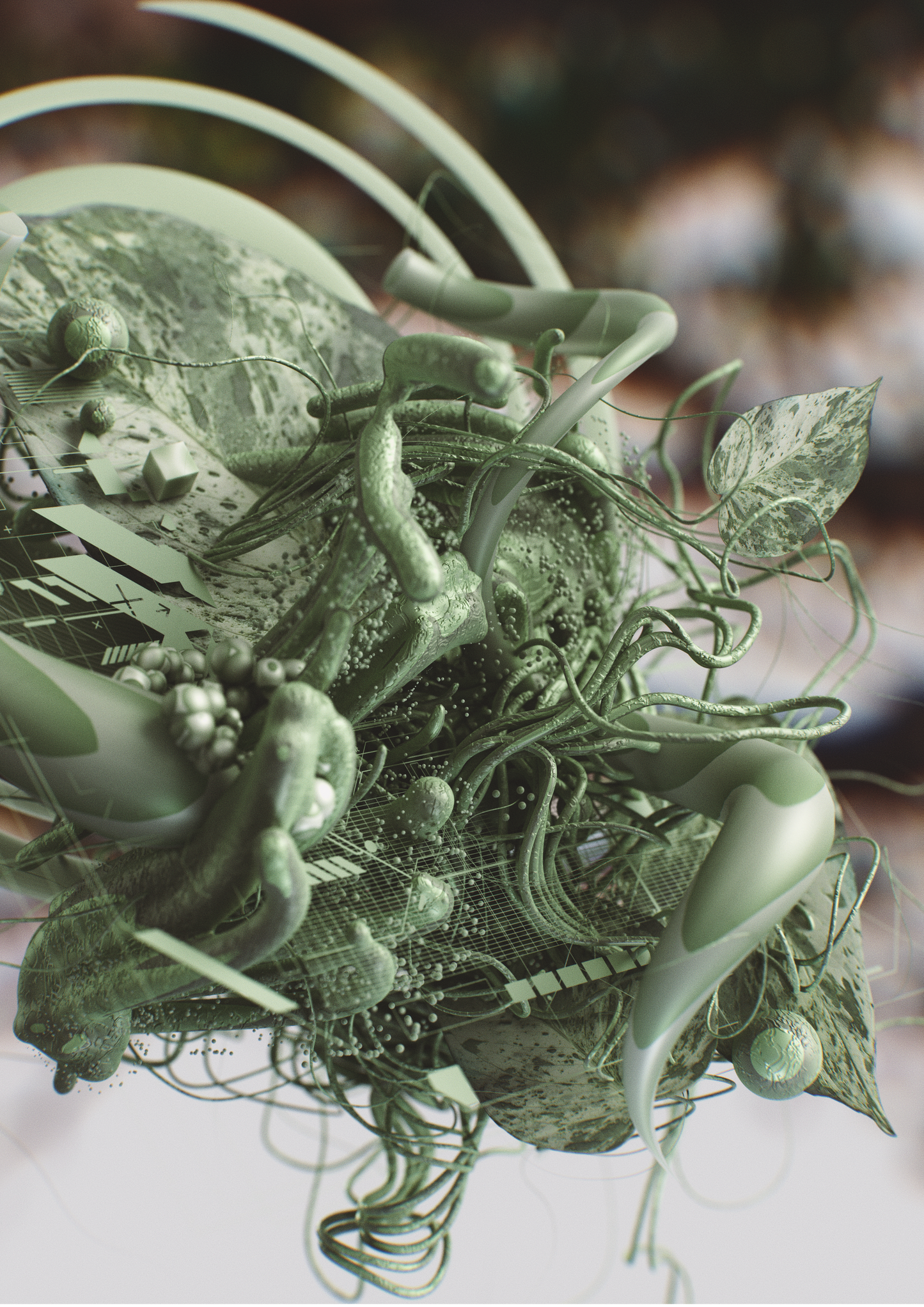 Variegation (Animated)