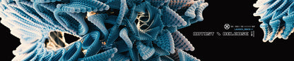 Shellshock