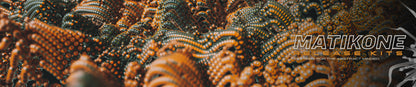 Tigers Eye