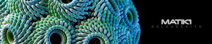 Succulenti