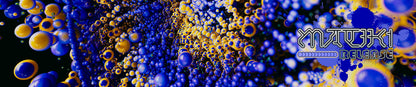 Petri Dish
