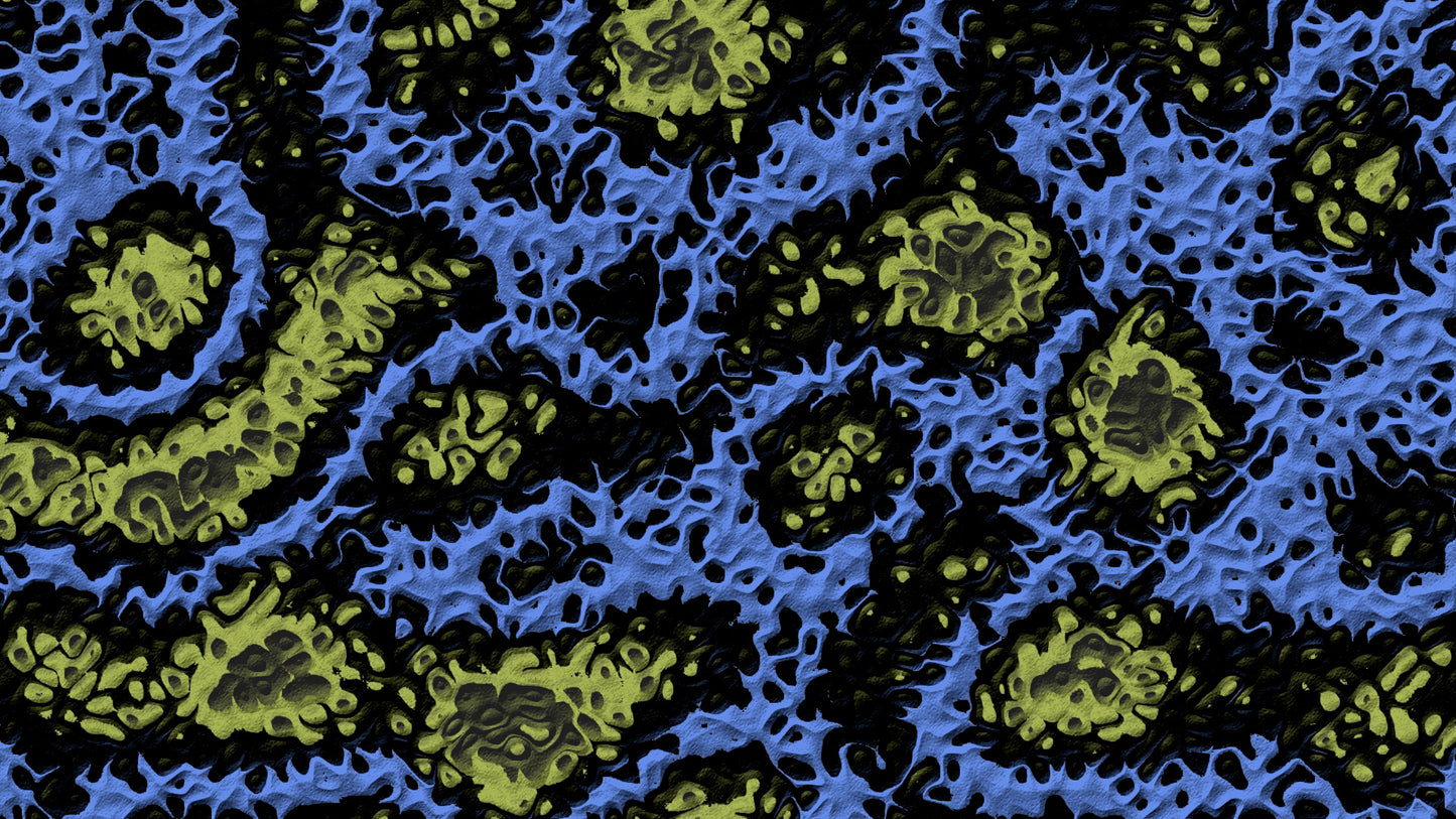 Topologik (Loops + Modular)