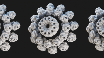 Coral Study