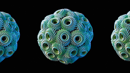Succulenti