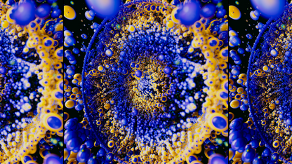 Petri Dish