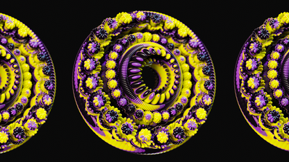 Aeonium