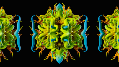 Portal