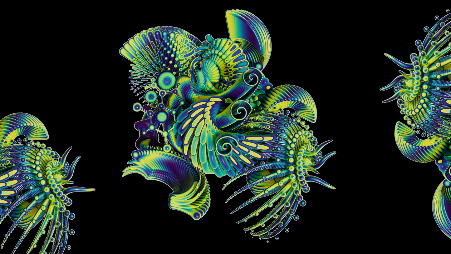 Polycera