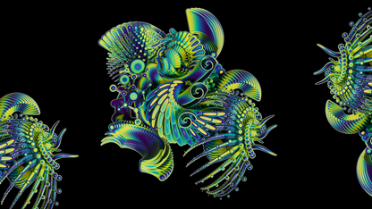Polycera