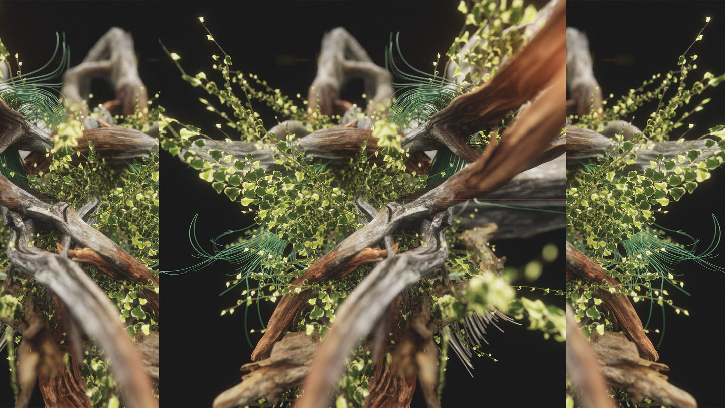 Undergrowth